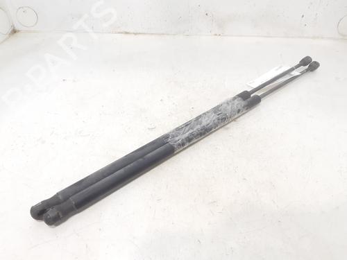 Used Tailgate lift support FORD FIESTA V (JH_, JD_) 1.4 TDCi (68 hp) 14002639