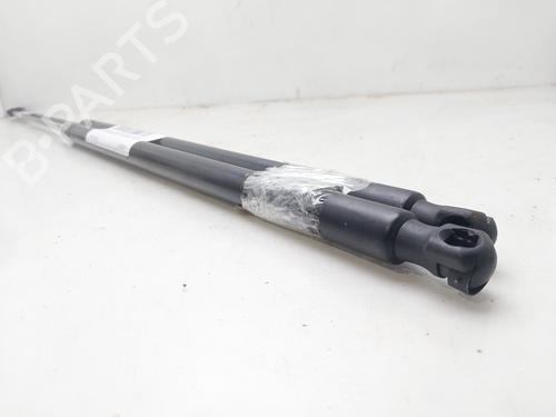 Tailgate lift support SEAT TOLEDO III (5P2)  | BP15679373C138 
