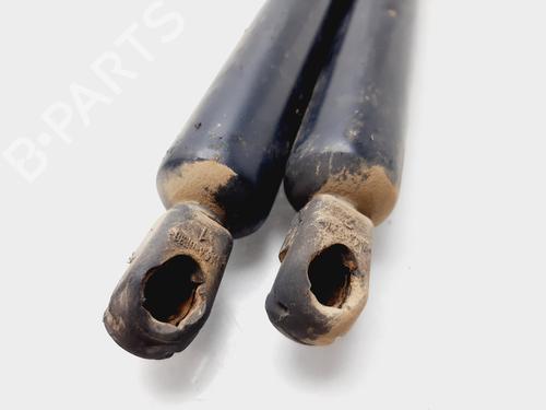 Tailgate lift support VW SHARAN (7M8, 7M9, 7M6) 1.9 TDI | BP21397143C138 