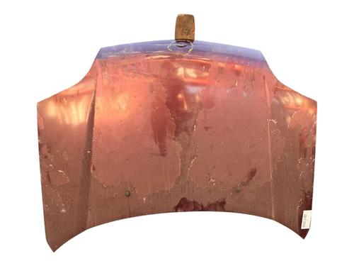 Capot Capot NISSAN X-TRAIL I (T30) [2001-2013] 36318648 36318648