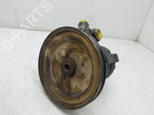 Steering pump FIAT PUNTO (176_) 60 1.2 (176AP, 176AR, 176AQ, 176BB) | BP22898893M99 