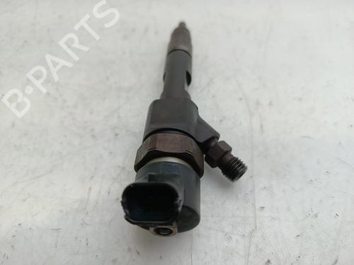 Injector RENAULT KANGOO (KC0/1_) 1.9 dCi 4x4 | BP29298303M100 