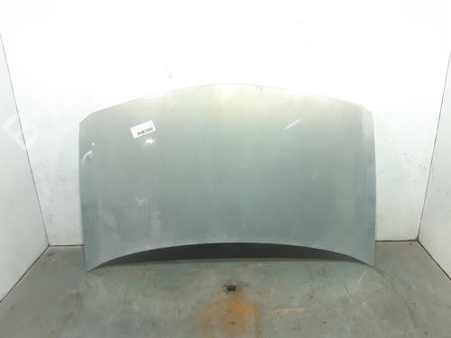 Panser RENAULT MEGANE II Saloon (LM0/1_) 1.9 dCi (LM0G, LM1G, LM2C) | BP11273611C1 