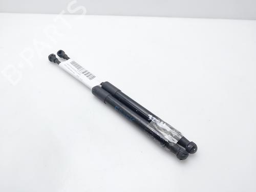 Used Hood lift support BMW X1 (E84) sDrive 18 d (143 hp) 16418317