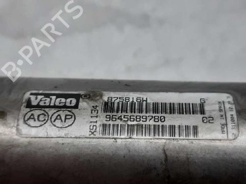 Egr CITROËN C5 II (RC_)  | BP13995804M69 