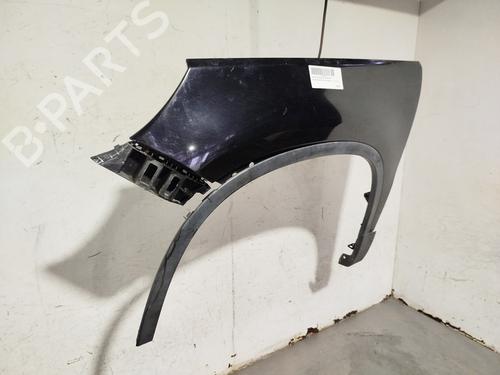 Left front fenders VW TIGUAN (5N_)  | BP29982170C41