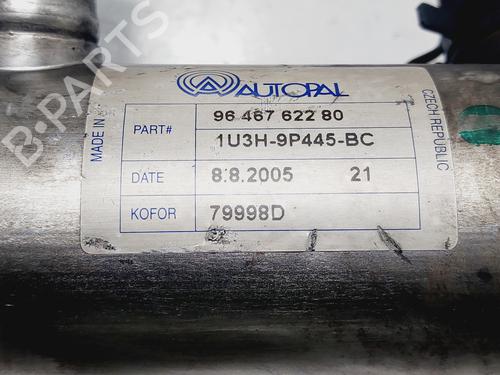 EGR-Ventil PEUGEOT 307 Break (3E)  | BP29298382M69 