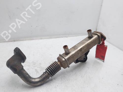 Egr NISSAN PATHFINDER III (R51) 2.5 dCi | BP19512531M69 