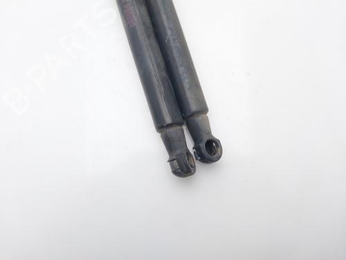 Tailgate lift support NISSAN QASHQAI / QASHQAI +2 I (J10, NJ10, JJ10E) 1.5 dCi | BP16214077C138 