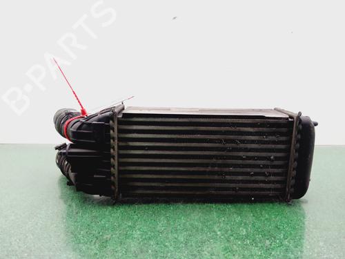 Intercooler CITROËN C-ELYSEE (DD_) | BP30882361M30