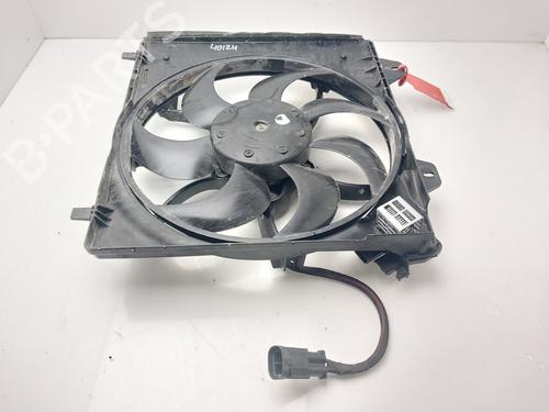 Used Radiator fan PEUGEOT 208 II (UB_, UP_, UW_, UJ_) [2019-2026]  32413902