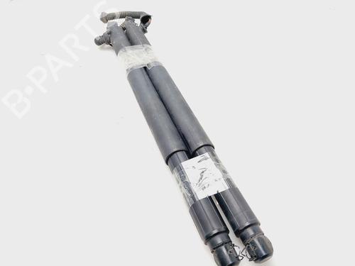 Tailgate lift support BMW X6 (E71, E72) xDrive 30 d | BP27090910C138 