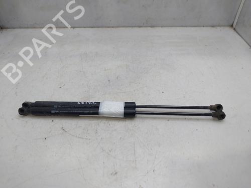 Tailgate lift support RENAULT CLIO IV (BH_)  | BP18033287C138 