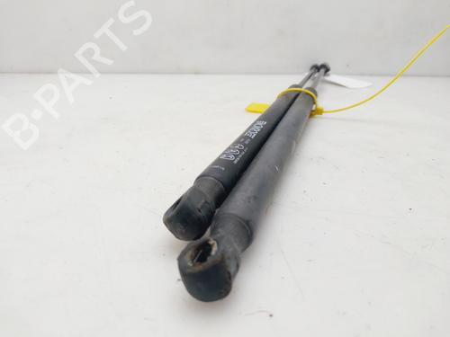 Tailgate lift support SKODA OCTAVIA II (1Z3) 1.9 TDI | BP22389608C138 