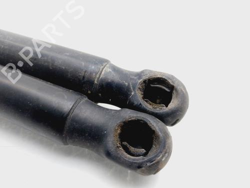 Tailgate lift support FORD FIESTA VI (CB1, CCN) 1.6 TDCi | BP25990226C138 