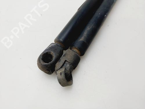 Tailgate lift support RENAULT CLIO II (BB_, CB_) 1.2 (BB0A, BB0F, BB10, BB1K, BB28, BB2D, BB2H, CB0A,... | BP28123459C138 