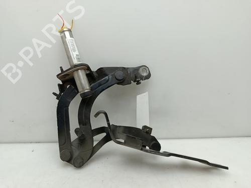 Used Hinge/Door check strap PEUGEOT RCZ 1.6 16V (200 hp) 29582344
