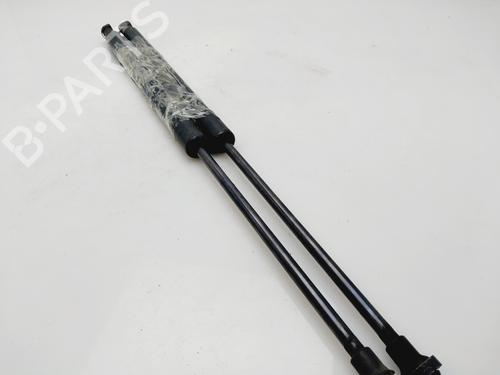 Tailgate lift support AUDI A4 B7 Avant (8ED)  | BP24496878C138 