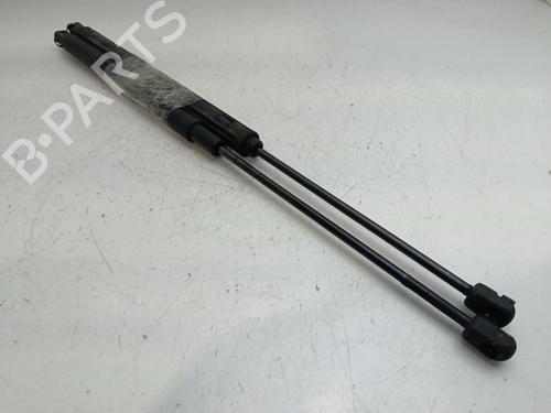 Tailgate lift support MERCEDES-BENZ C-CLASS (W203)  | BP28208315C138 