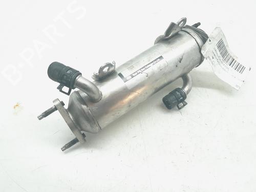 EGR-Ventil CHEVROLET CAPTIVA (C100, C140) [2006-2025]  14008279