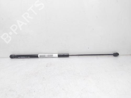 Used Tailgate lift support SKODA OCTAVIA II (1Z3) 1.9 TDI (105 hp) 14007916