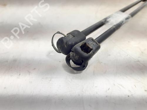 Tailgate lift support FORD KUGA I  | BP14003030C138 