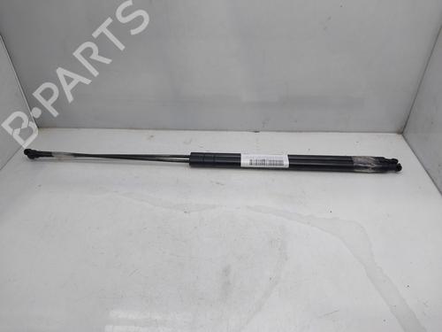 Tailgate lift support SEAT TOLEDO III (5P2)  | BP17181089C138 