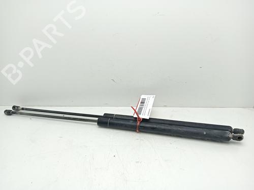 Tailgate lift support MERCEDES-BENZ VITO Van (W638) 110 CDI 2.2 (638.094) | BP22214920C138 