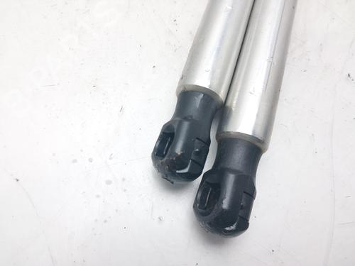 Tailgate lift support AUDI A8 D3 (4E2, 4E8) 4.0 TDI quattro | BP14005357C138 