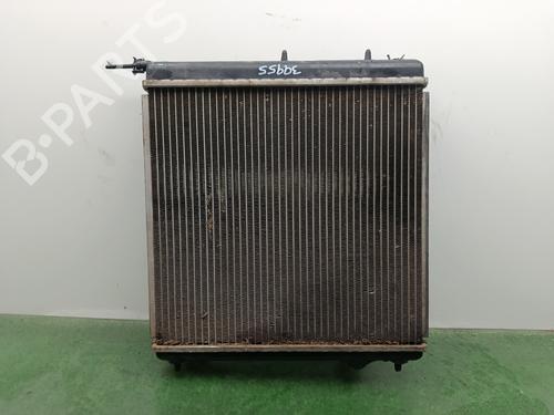 Water radiator CITROËN C3 II (SC_) | BP31352500M31