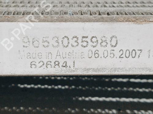 Hood RENAULT MEGANE II (BM0/1_, CM0/1_) 1.4 16V (BM0B, CM0B) | BP6908649C1 