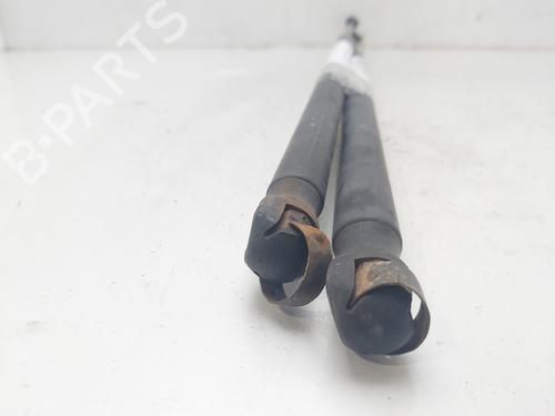 Tailgate lift support FORD FIESTA V (JH_, JD_) 1.4 TDCi | BP15602756C138 