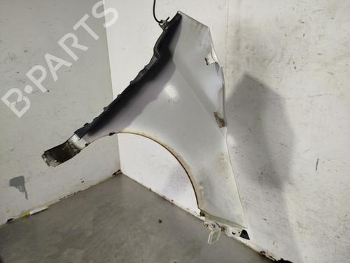 Left front fenders HYUNDAI i10 I (PA) 1.1 | BP30271657C41 