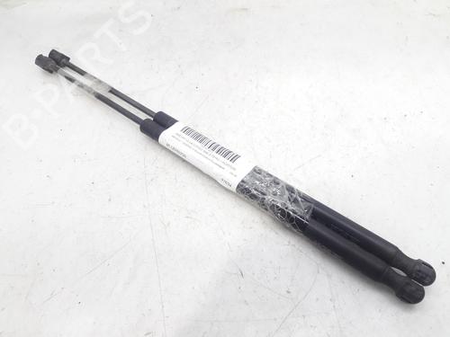 Used Tailgate lift support RENAULT SCÉNIC II (JM0/1_) 1.9 dCi (JM0G, JM12, JM1G, JM2C) (120 hp) 14003379