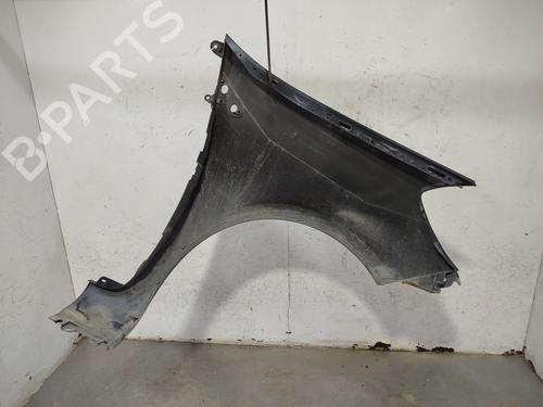 Left front fenders RENAULT CLIO III (BR0/1, CR0/1) 1.4 16V | BP28729292C41 