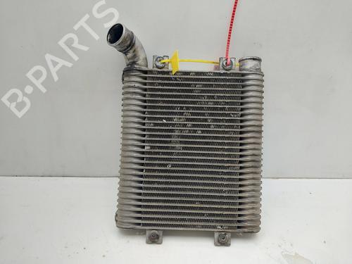 Intercooler HYUNDAI SANTA FÉ I (SM) 2.0 CRDi 4x4 (113 hp) 17081300