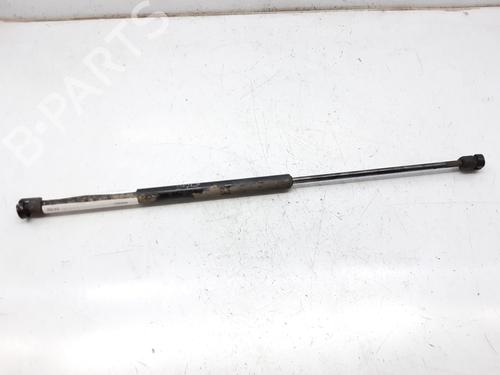 Used Hood lift support CITROËN XSARA Coupe (N0) 2.0 HDI 90 (90 hp) 14000155