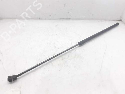 Used Hood lift support VW PASSAT B6 (3C2) 2.0 TDI (170 hp) 13994100