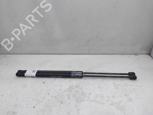 Tailgate lift support LAND ROVER RANGE ROVER SPORT I (L320) 2.7 D 4x4 | BP17612591C138 