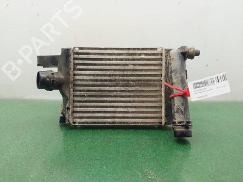 Used Intercooler DACIA SANDERO II [2012-2025]  25938113