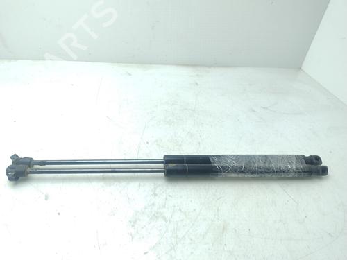 Tailgate lift support FIAT FREEMONT (345_)  | BP29467614C138 