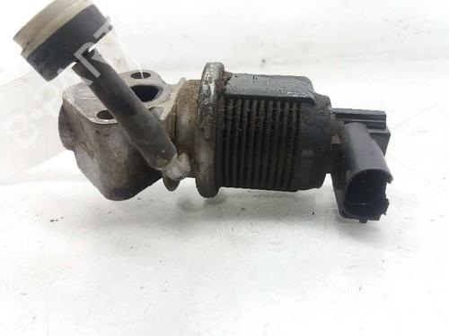Egr SEAT CORDOBA (6L2) 1.4 16V | BP3317370M69 