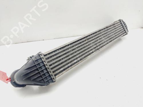 Intercooler MERCEDES-BENZ A-CLASS (W169) A 160 CDI (169.006, 169.306) | BP21262655M30 