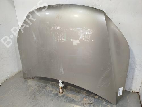 Hood VW TIGUAN (5N_)  | BP24641932C1