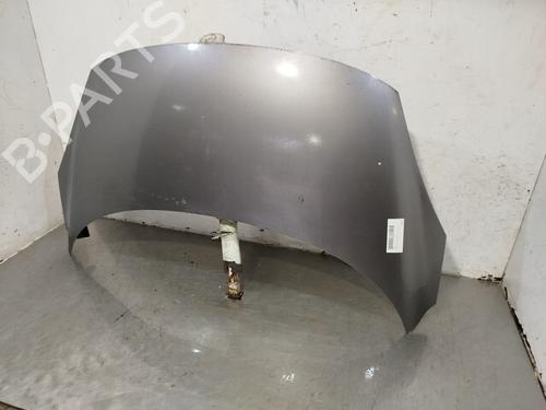 Hood RENAULT SCÉNIC III (JZ0/1_)  | BP25902767C1