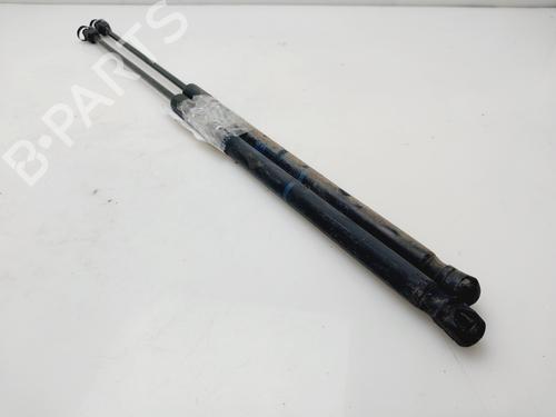 Tailgate lift support OPEL CORSA D (S07)  | BP24496818C138 