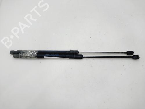 Used Tailgate lift support FORD FIESTA VI (CB1, CCN) 1.4 TDCi (70 hp) 30389528
