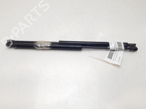 Used Tailgate lift support CITROËN XSARA (N1) 1.9 TD (90 hp) 16634266