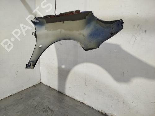 Left front fenders PEUGEOT 206 Hatchback (2A/C) | BP32297825C41