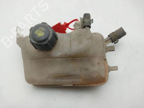 Used Expansion tank Expansion tank RENAULT MEGANE III Hatchback (BZ0/1_, B3_) 1.5 dCi (86 hp) 40513796 40513796